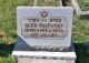 Headstone: Alex Palevsky Headstone: Alex Palevsky