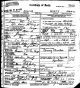 Death Certificate (front): Joseph Mintz Death Certificate (front): Joseph Mintz