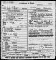 Death Certificate (front): Abraham Palefsky Death Certificate (front): Abraham Palefsky