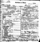 Death Certificate (front): Ida Peterman Palefsky Death Certificate (front): Ida Peterman Palefsky