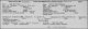 Marriage License & Return: Sam Palevsky & Celia Schmulawitz Marriage License & Return: Sam Palevsky & Celia Schmulawitz